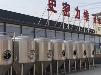 丰泽精酿啤酒设备厂—如何判断精酿啤酒设备的密封件需要更换？